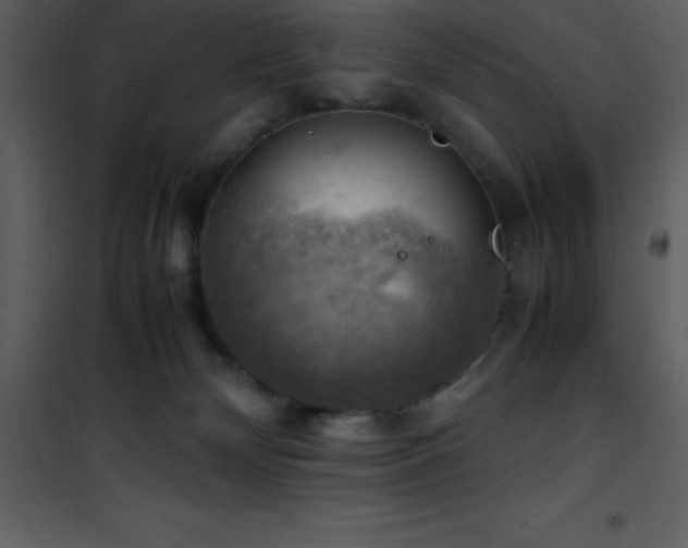 X0000102010132200807181237