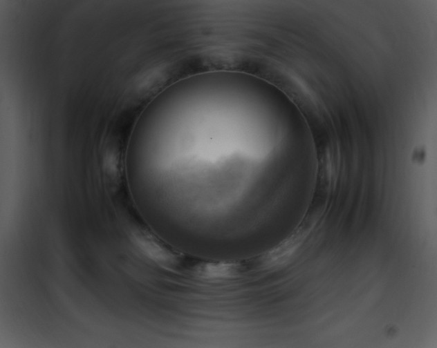 X0000102010134200807181237