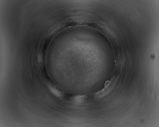 X0000102010136200807181237