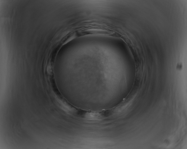 X0000102010137200807181237