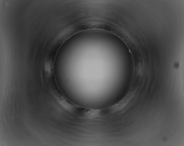 X0000102010138200807181237