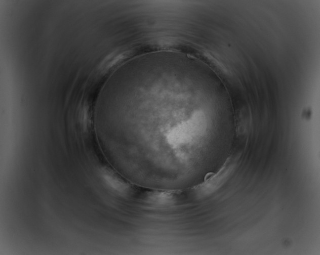 X0000102010140200807181237