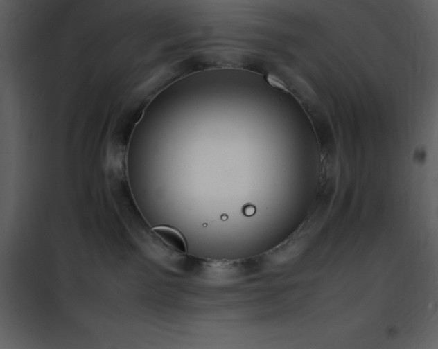 X0000102010141200807181237