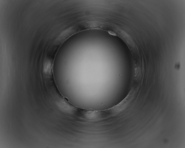 X0000102010142200807181237