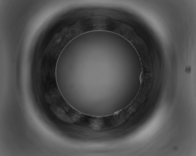 X0000102010143200807181237