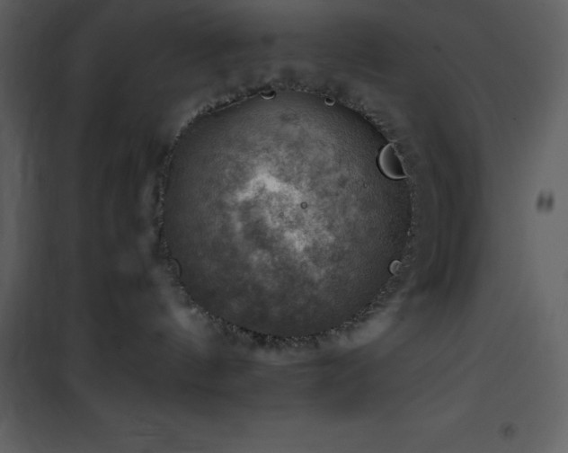 X0000102010144200807181237