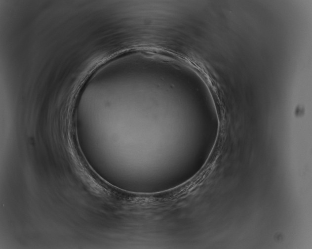 X0000102010145200807181236