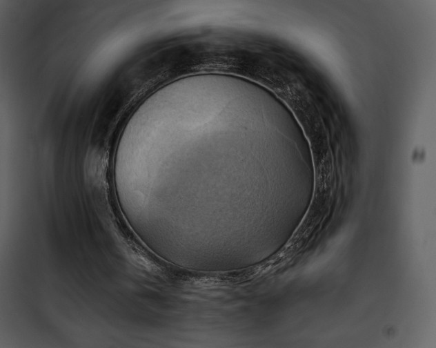 X0000102010146200807181236