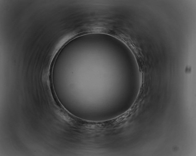 X0000102010147200807181236