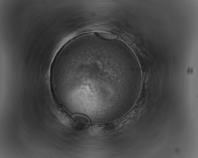 X0000102010148200807181236