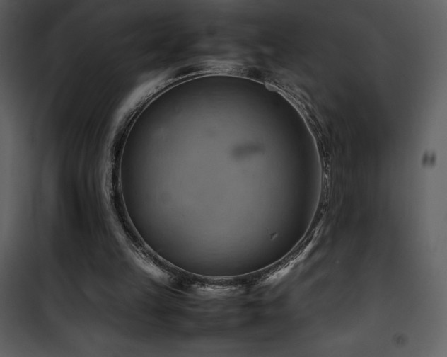 X0000102010149200807181236