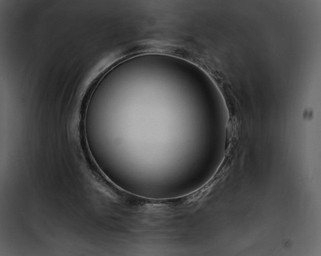 X0000102010150200807181236
