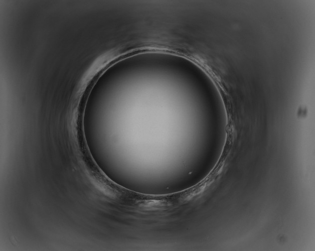 X0000102010151200807181236