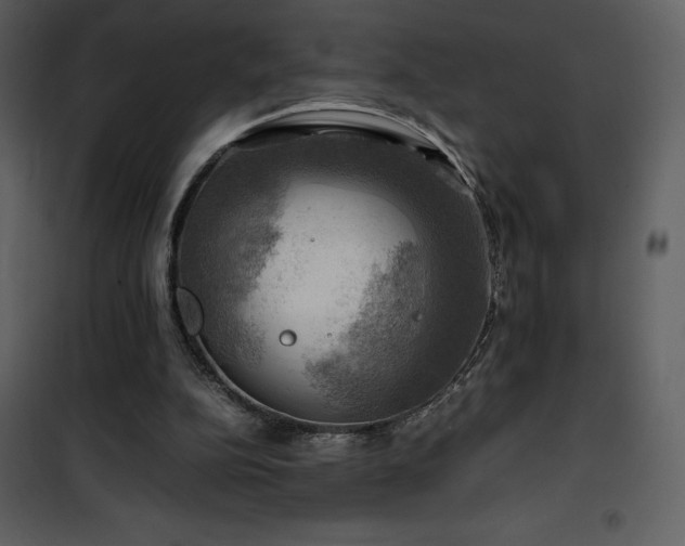 X0000102010152200807181236