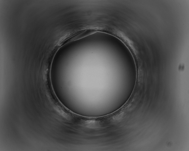 X0000102010153200807181236