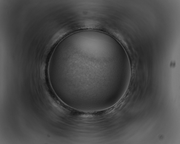 X0000102010154200807181236
