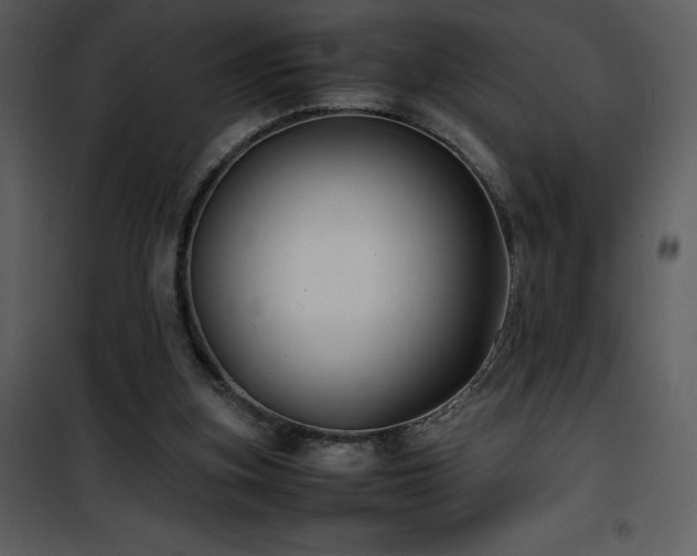 X0000102010155200807181236