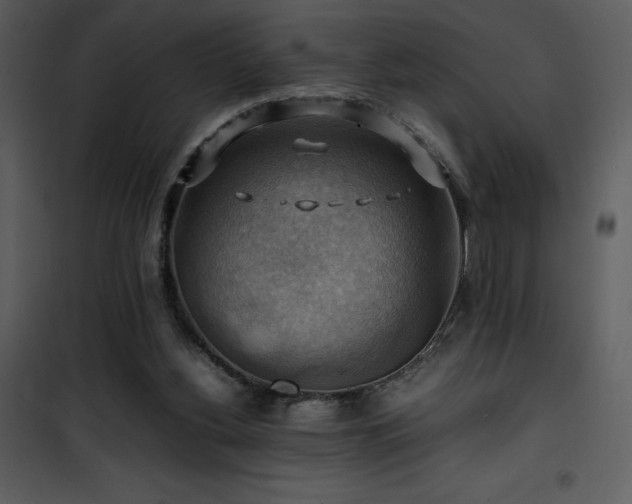 X0000102010156200807181236