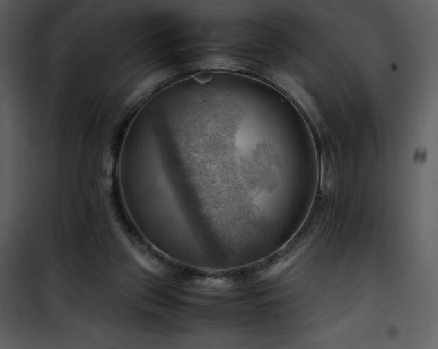 X0000102010157200807181236