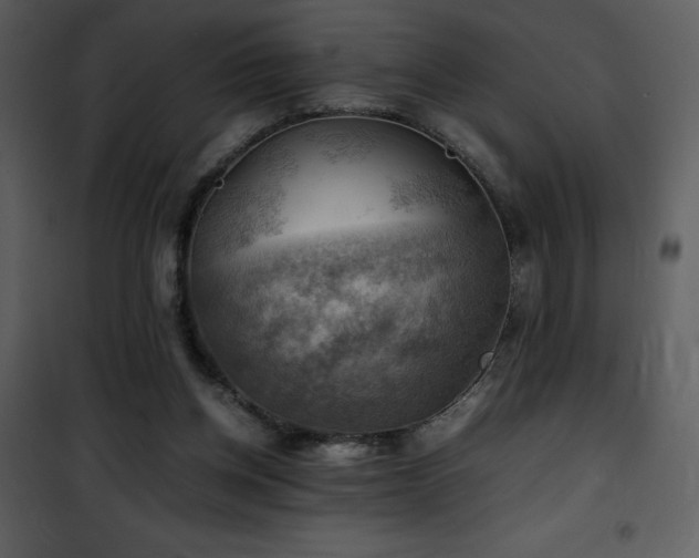 X0000102010158200807181236