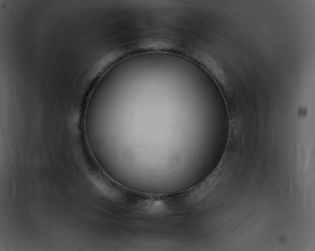 X0000102010159200807181236