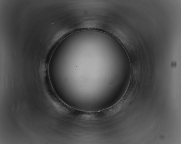 X0000102010160200807181236