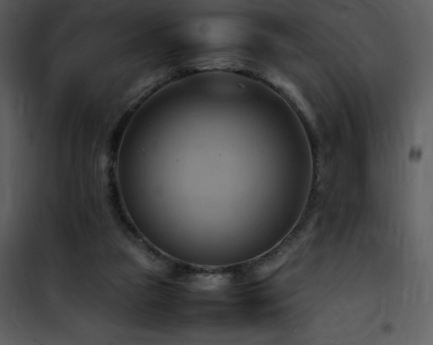 X0000102010161200807181236