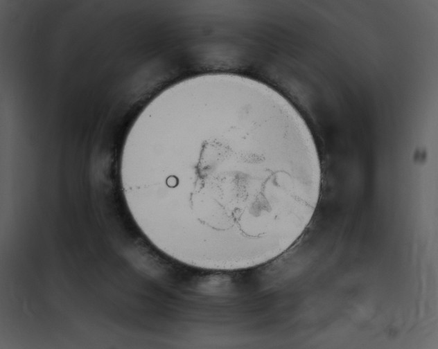 X0000102010162200807181236