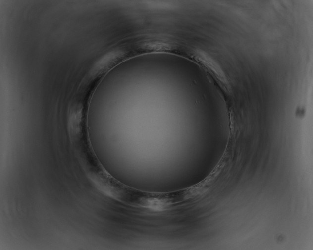 X0000102010163200807181237