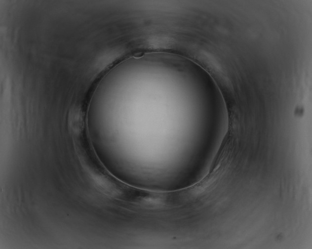 X0000102010164200807181237