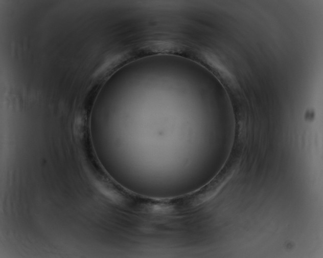 X0000102010165200807181237