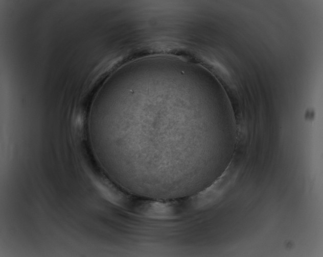 X0000102010166200807181237