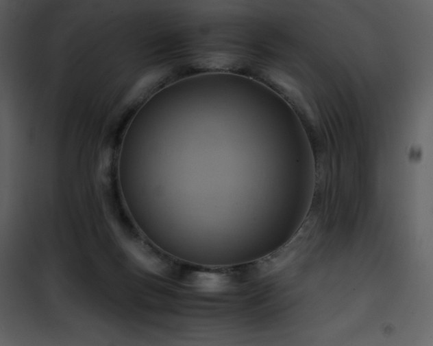 X0000102010167200807181237
