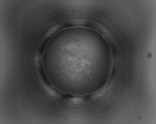 X0000102010168200807181237
