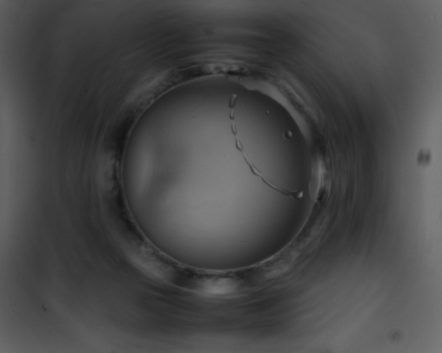 X0000102010169200807181237