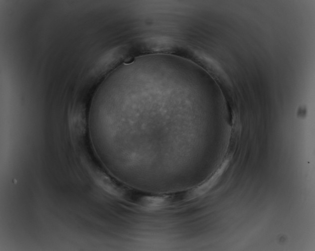 X0000102010170200807181237