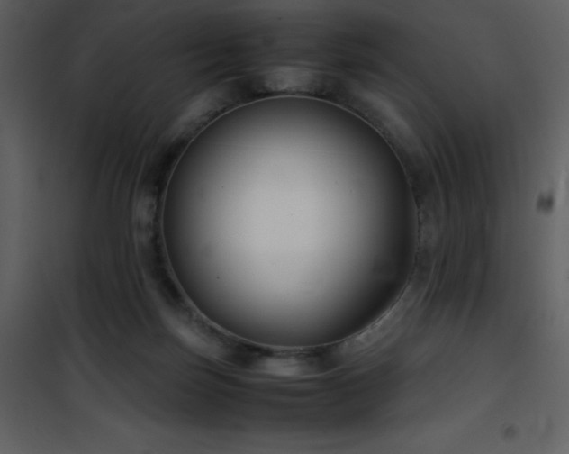 X0000102010171200807181237
