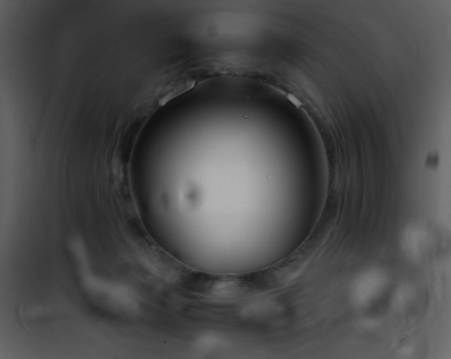 X0000102010173200807181237