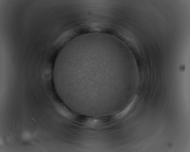 X0000102010174200807181237