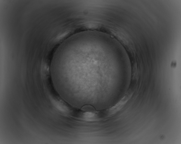 X0000102010176200807181237