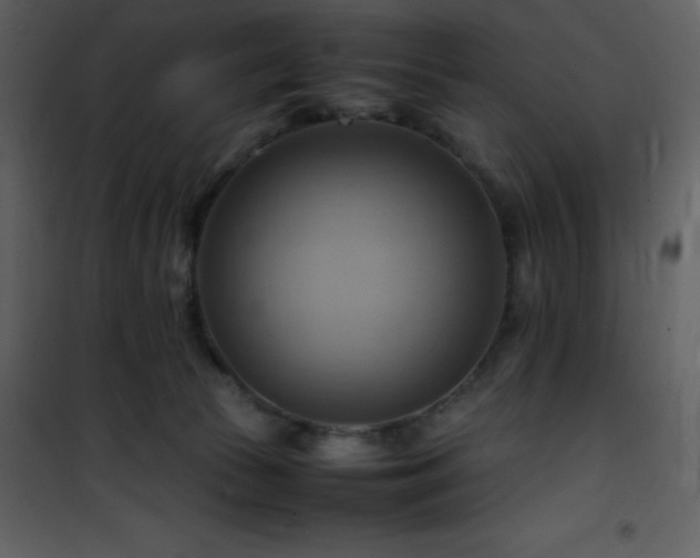 X0000102010177200807181237
