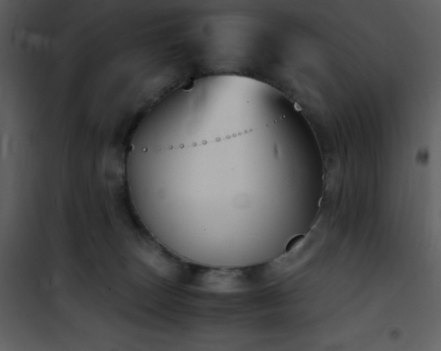 X0000102010179200807181237