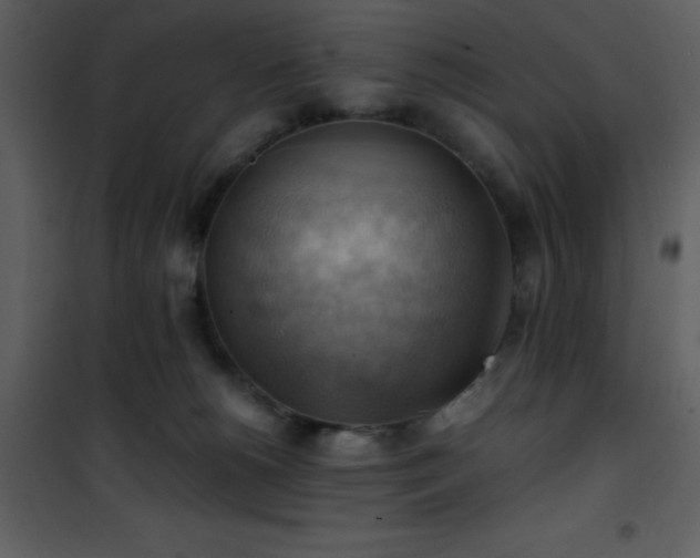 X0000102010180200807181237
