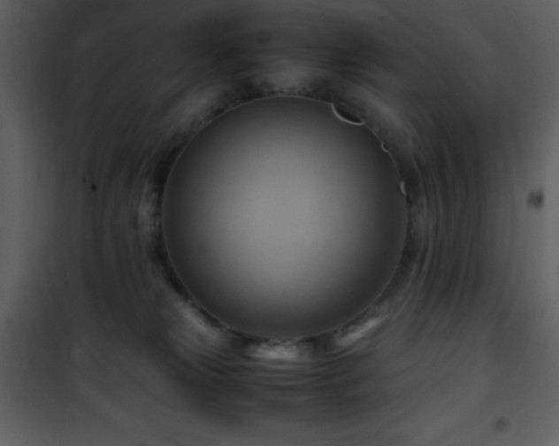 X0000102010181200807181237