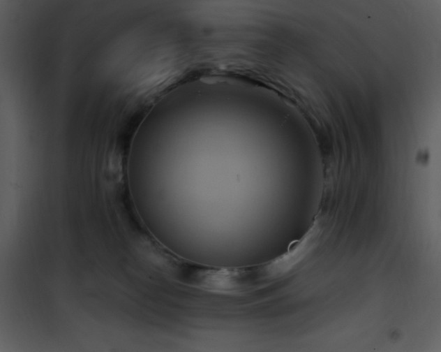 X0000102010182200807181237