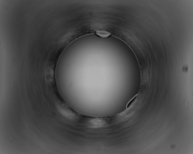 X0000102010183200807181237