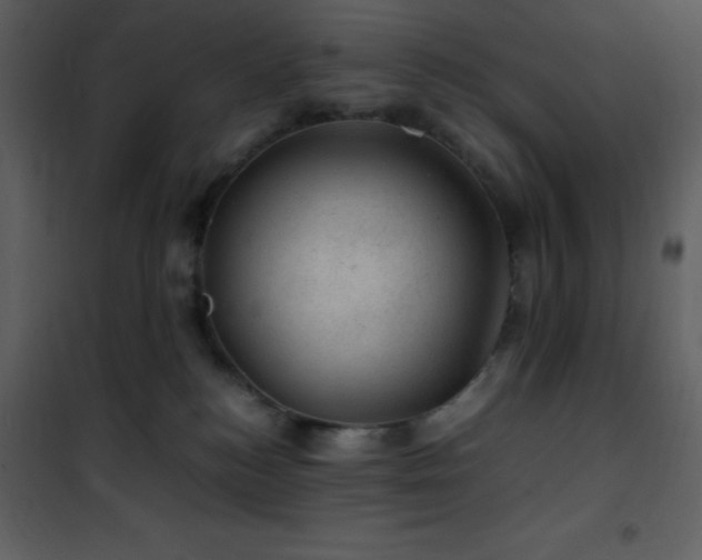 X0000102010184200807181237
