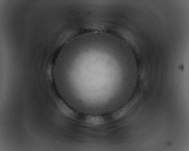 X0000102010185200807181237