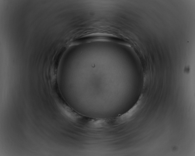 X0000102010186200807181237