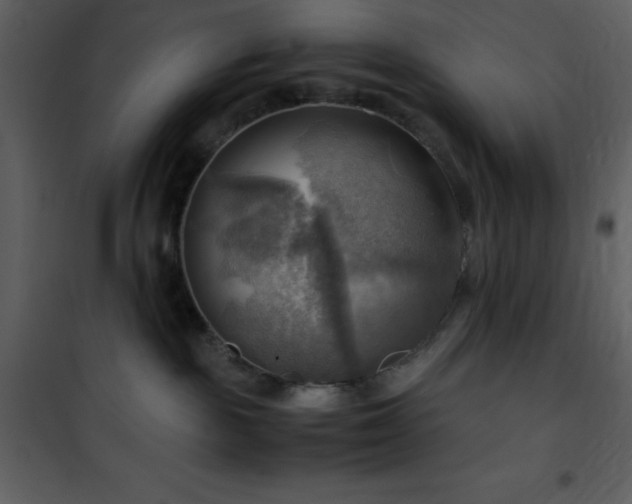 X0000102010189200807181237